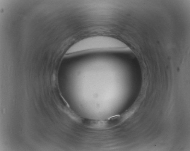 X0000062870288200601131019