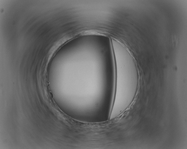 X0000062870289200601131018