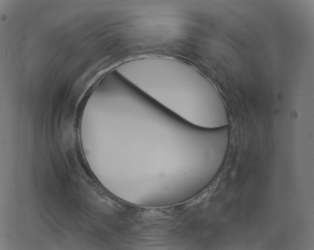 X0000062870290200601131018