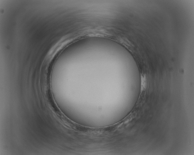 X0000062870291200601131018