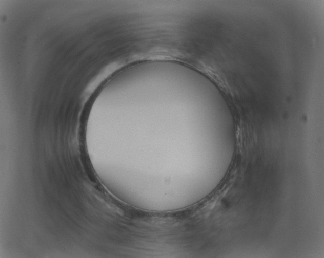 X0000062870292200601131018