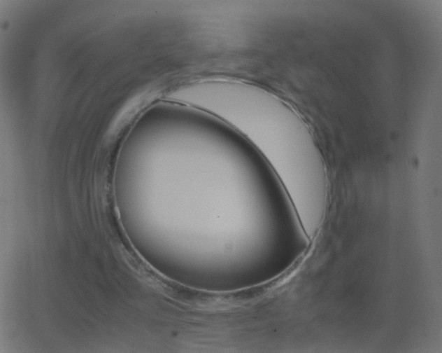 X0000062870293200601131018