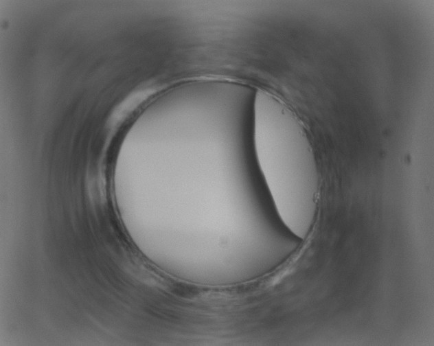 X0000062870294200601131018