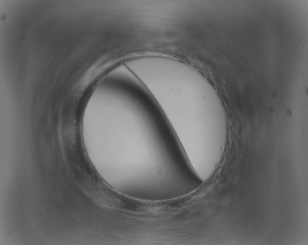 X0000062870295200601131018