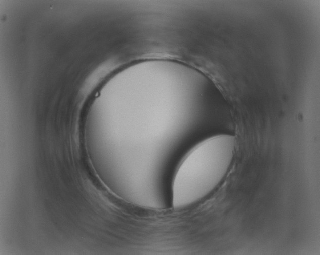 X0000062870296200601131018