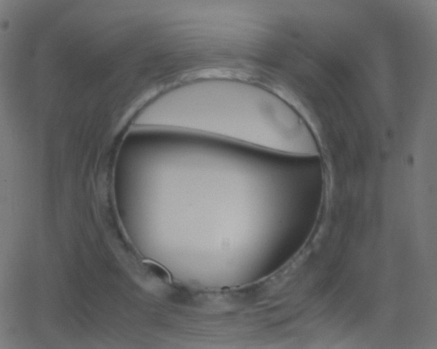 X0000062870297200601131018