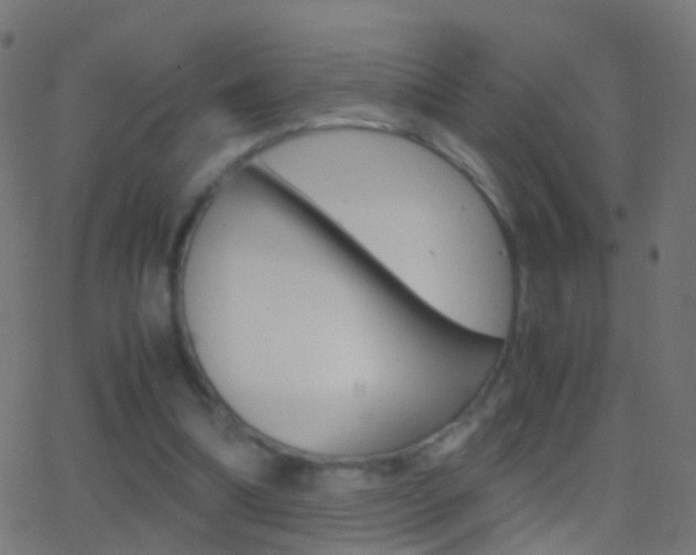 X0000062870298200601131018