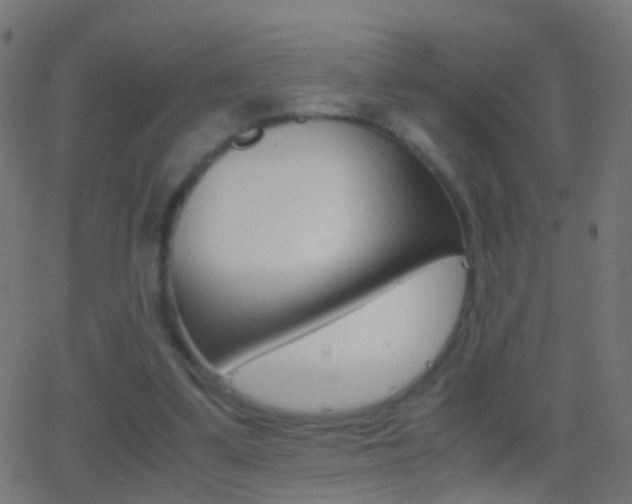 X0000062870299200601131018