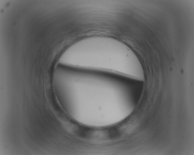 X0000062870303200601131018