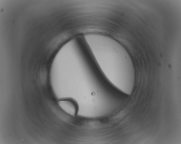 X0000062870304200601131018