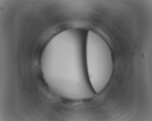 X0000062870306200601131018