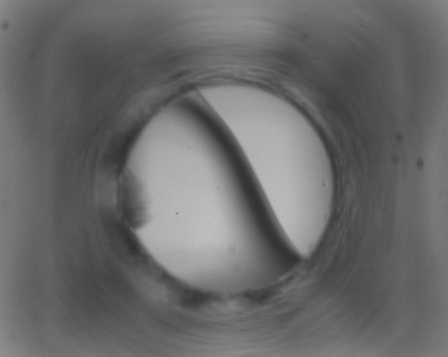 X0000062870307200601131018