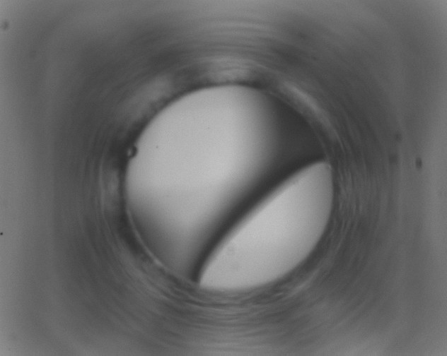 X0000062870308200601131018