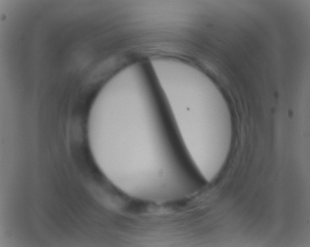 X0000062870311200601131018