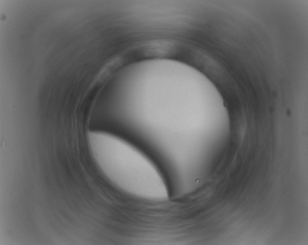 X0000062870312200601131017