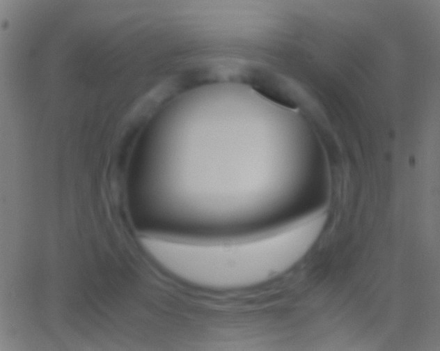 X0000062870313200601131017