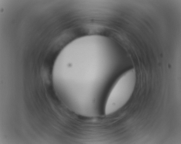 X0000062870316200601131017