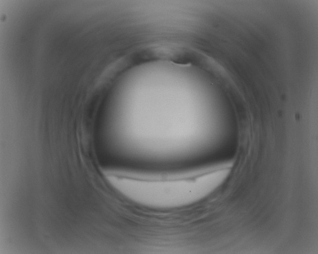 X0000062870317200601131017