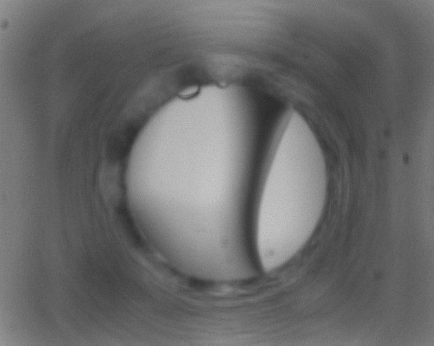 X0000062870319200601131017