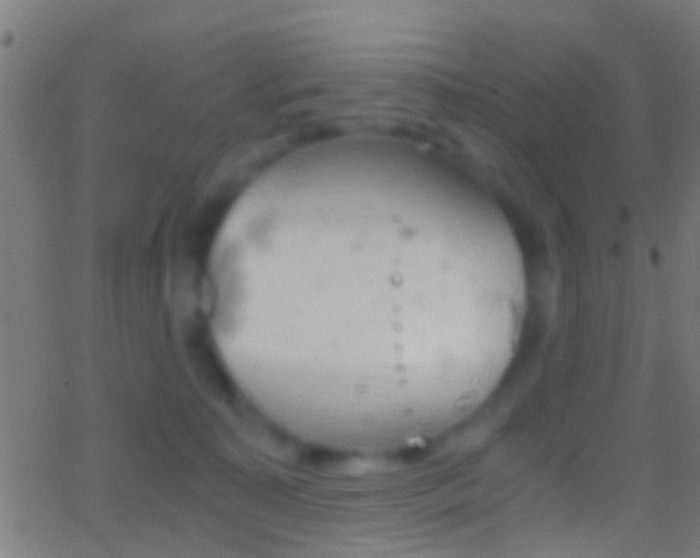 X0000062870323200601131017