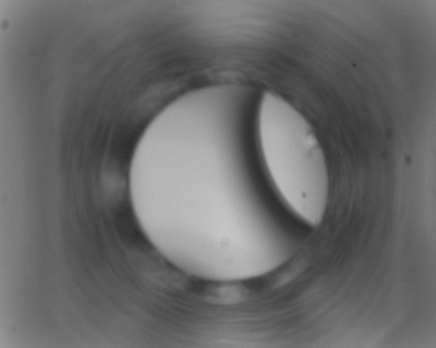 X0000062870324200601131017