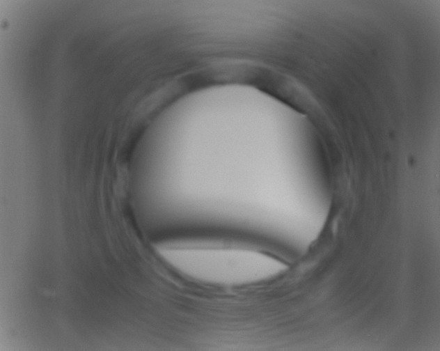 X0000062870325200601131017