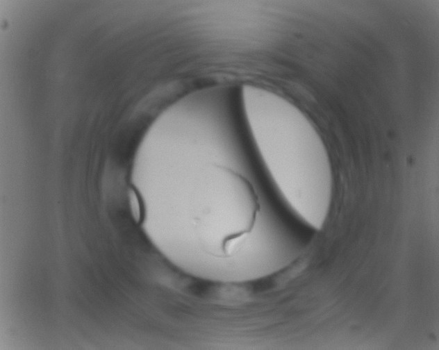 X0000062870327200601131017