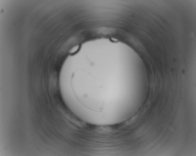 X0000062870328200601131017