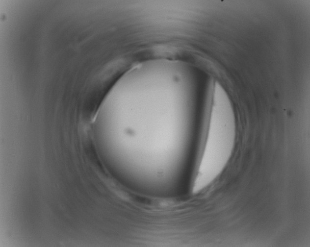 X0000062870329200601131017