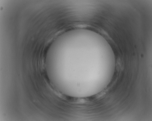 X0000062870330200601131017