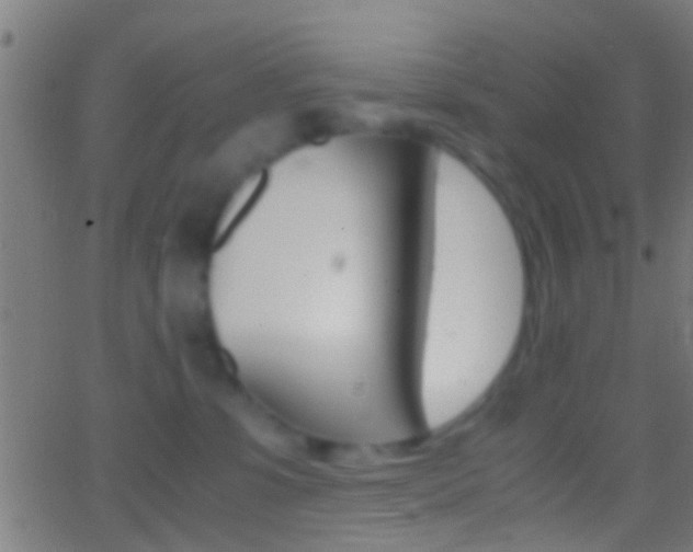 X0000062870331200601131017