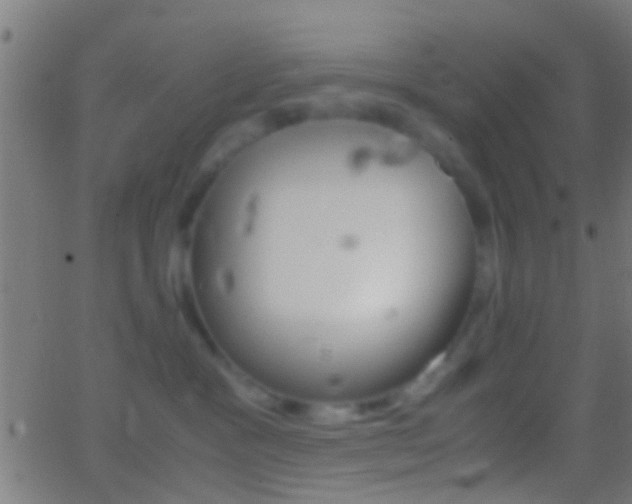 X0000062870333200601131017