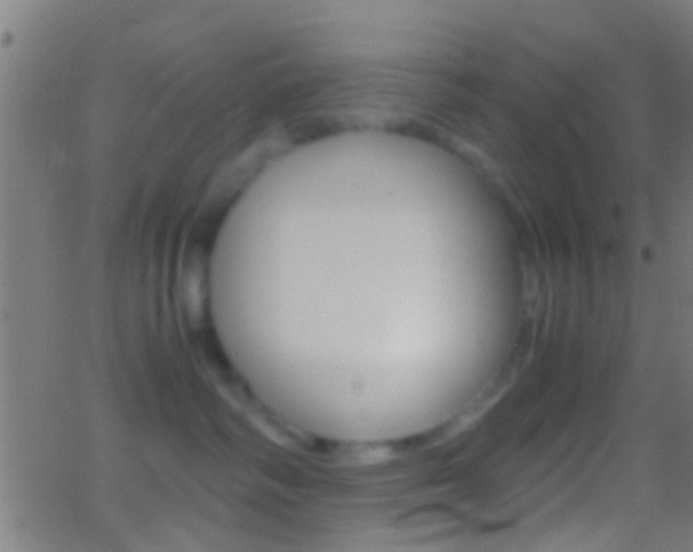 X0000062870334200601131017