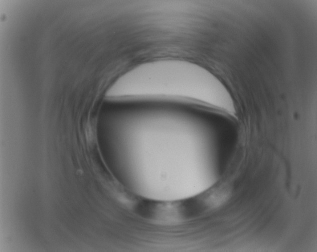 X0000062870335200601131017