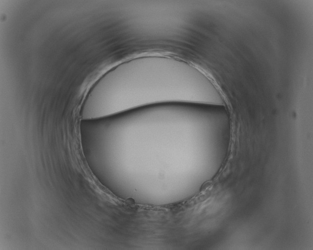 X0000062870337200601131016