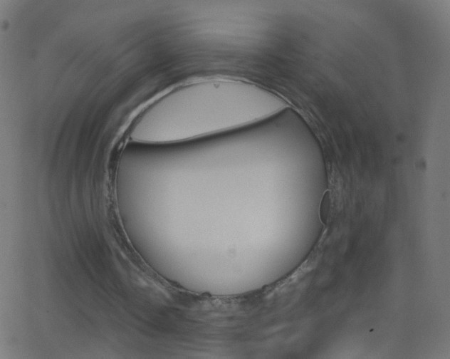 X0000062870338200601131016