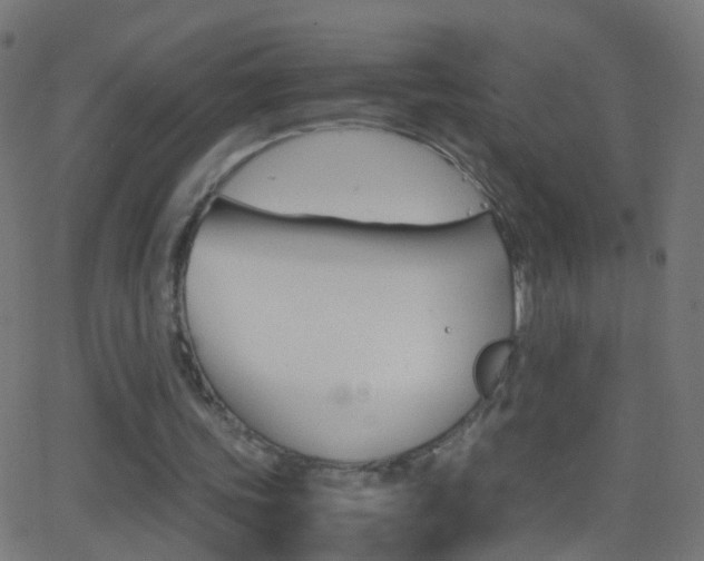 X0000062870339200601131016