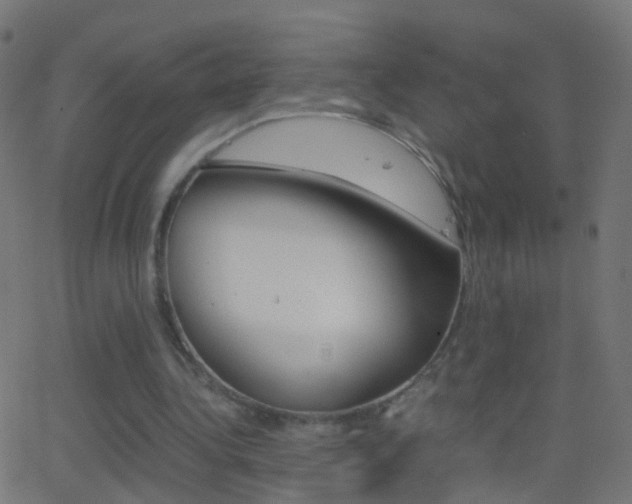 X0000062870340200601131016