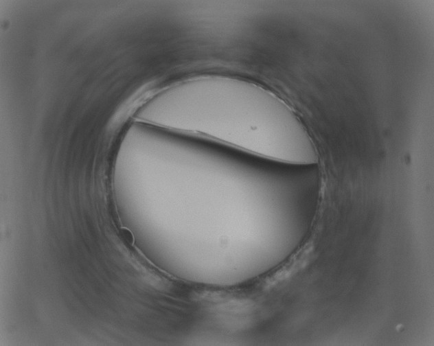 X0000062870341200601131016