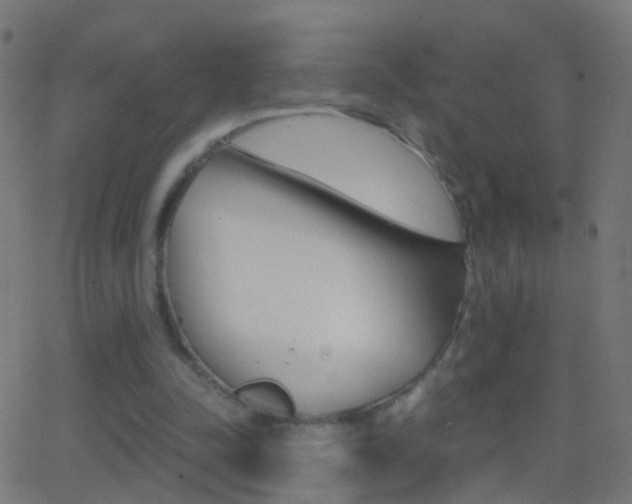 X0000062870342200601131016