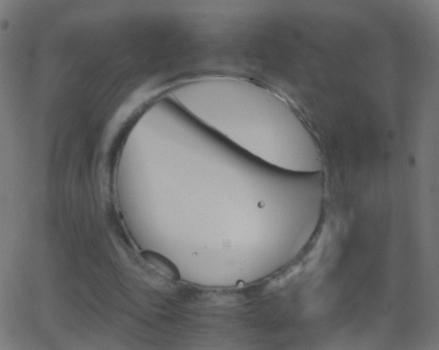 X0000062870343200601131016