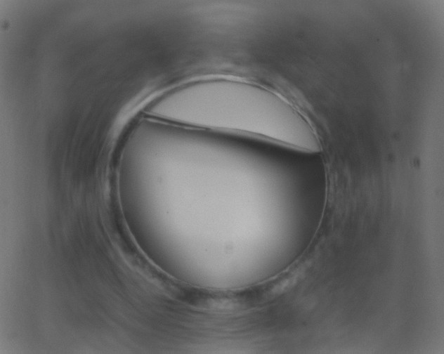 X0000062870344200601131016