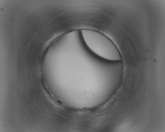 X0000062870345200601131016