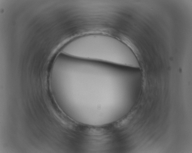 X0000062870346200601131016