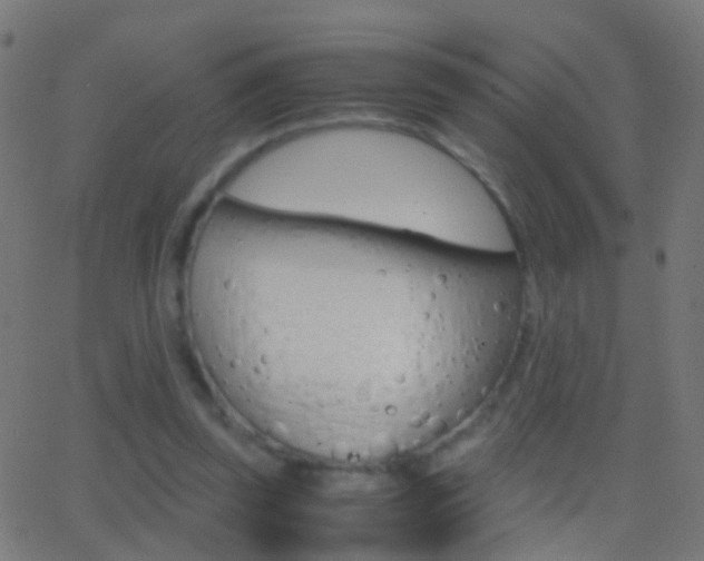 X0000062870347200601131016