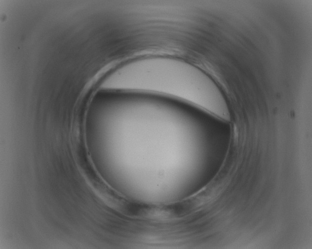 X0000062870348200601131016