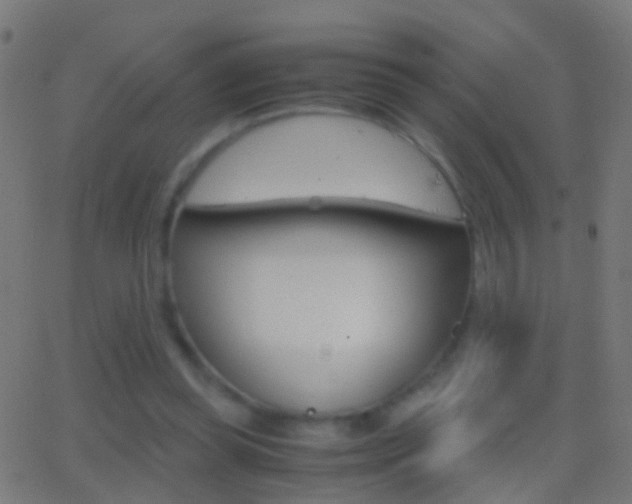 X0000062870349200601131016