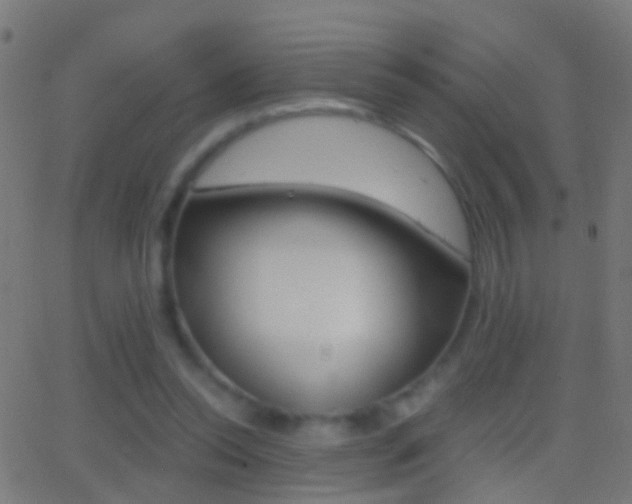 X0000062870350200601131016