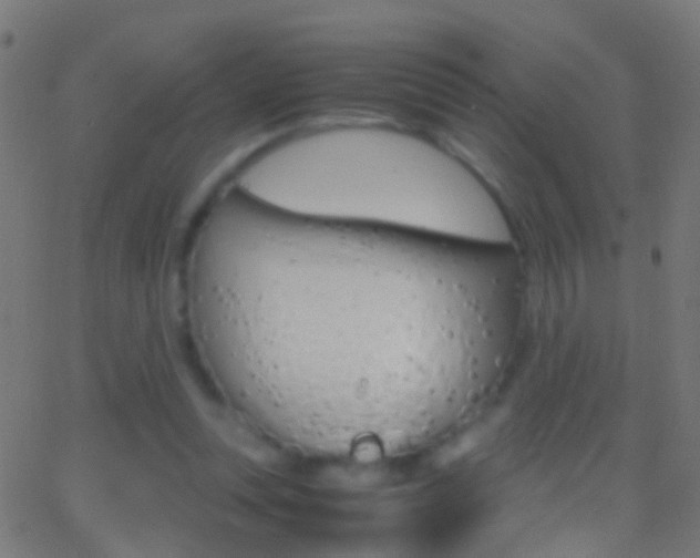 X0000062870351200601131016