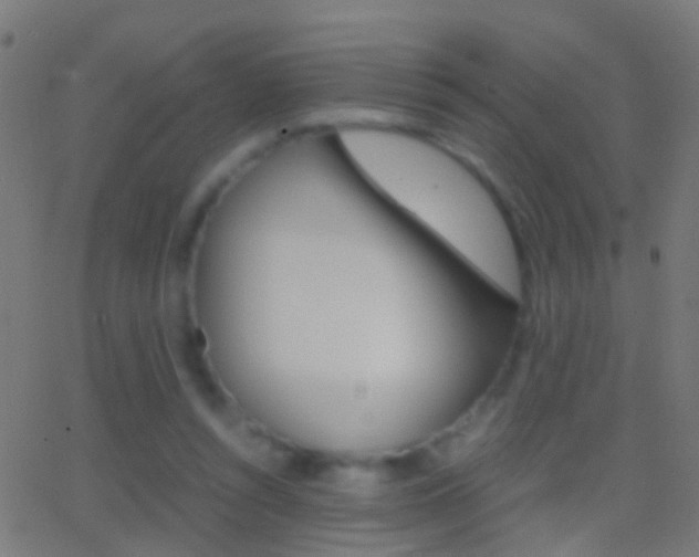 X0000062870352200601131016